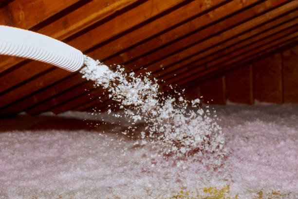 Best Insulation Removal  in Fulda, MN