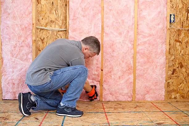 Best Affordable Insulation Services  in Fulda, MN